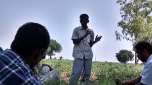 IMG_20151015_105959218_HDR