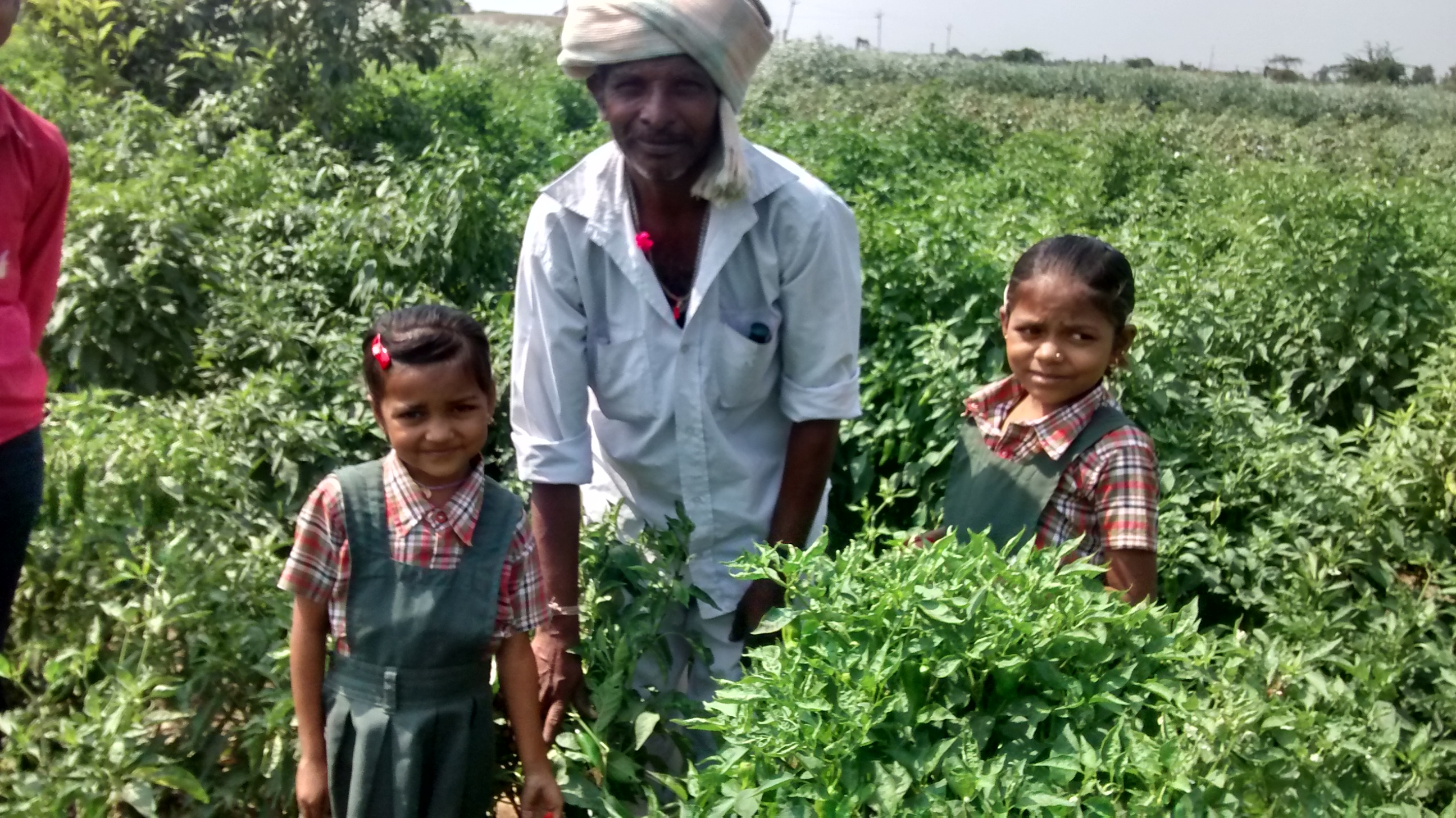 IMG_20151017_113623907_HDR