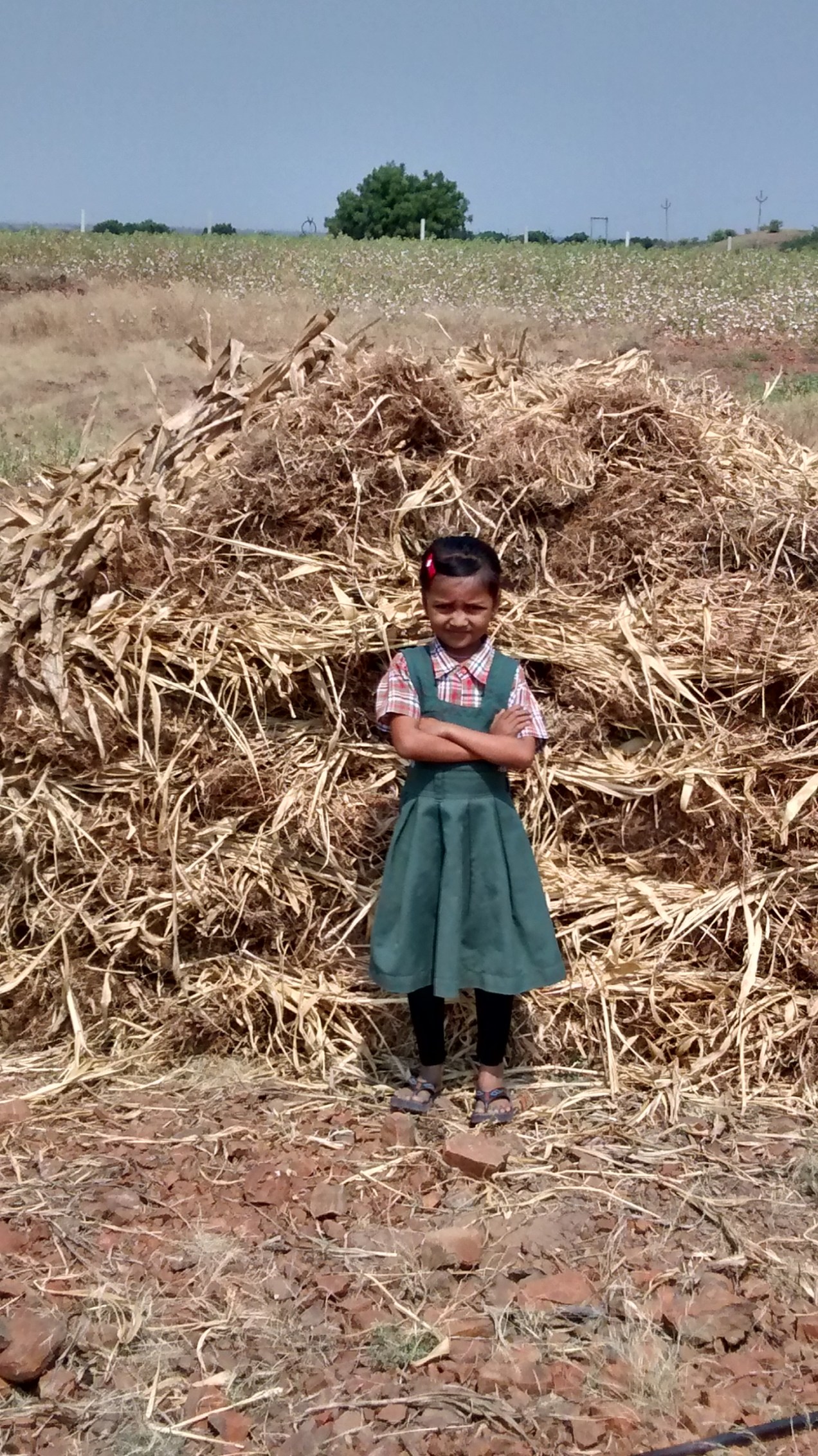 IMG_20151017_120002790_HDR