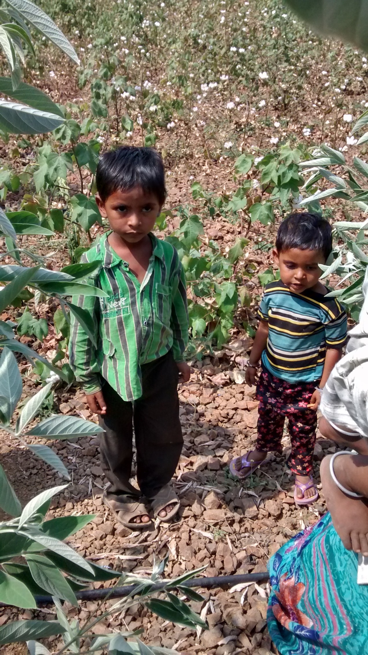 IMG_20151017_120333982_HDR